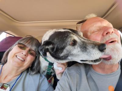 Volunteers Rich and Linda Yates in a vehicle with a dog in between them licking Rich's face